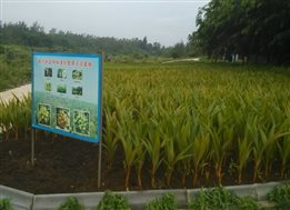 IMG_20140609_082115