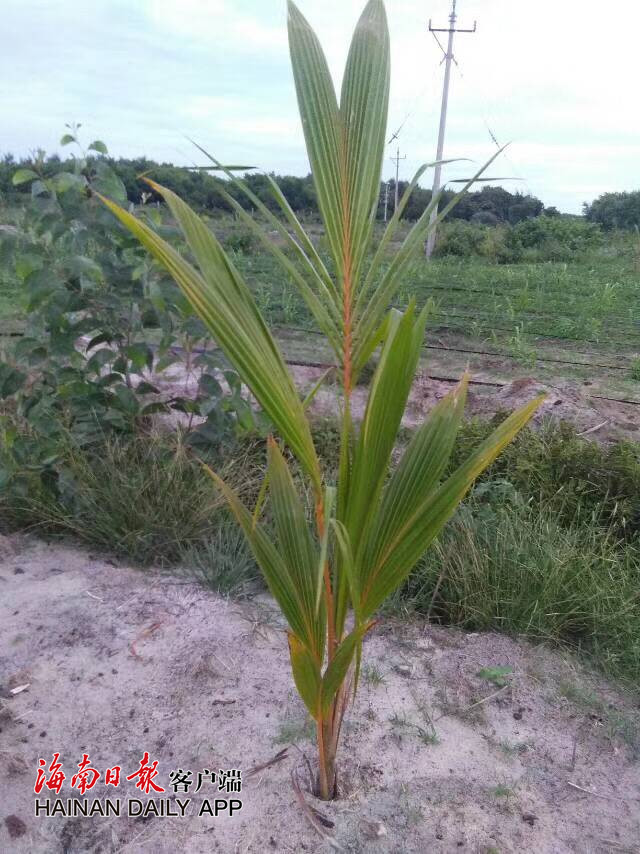 20111936220.jpg
