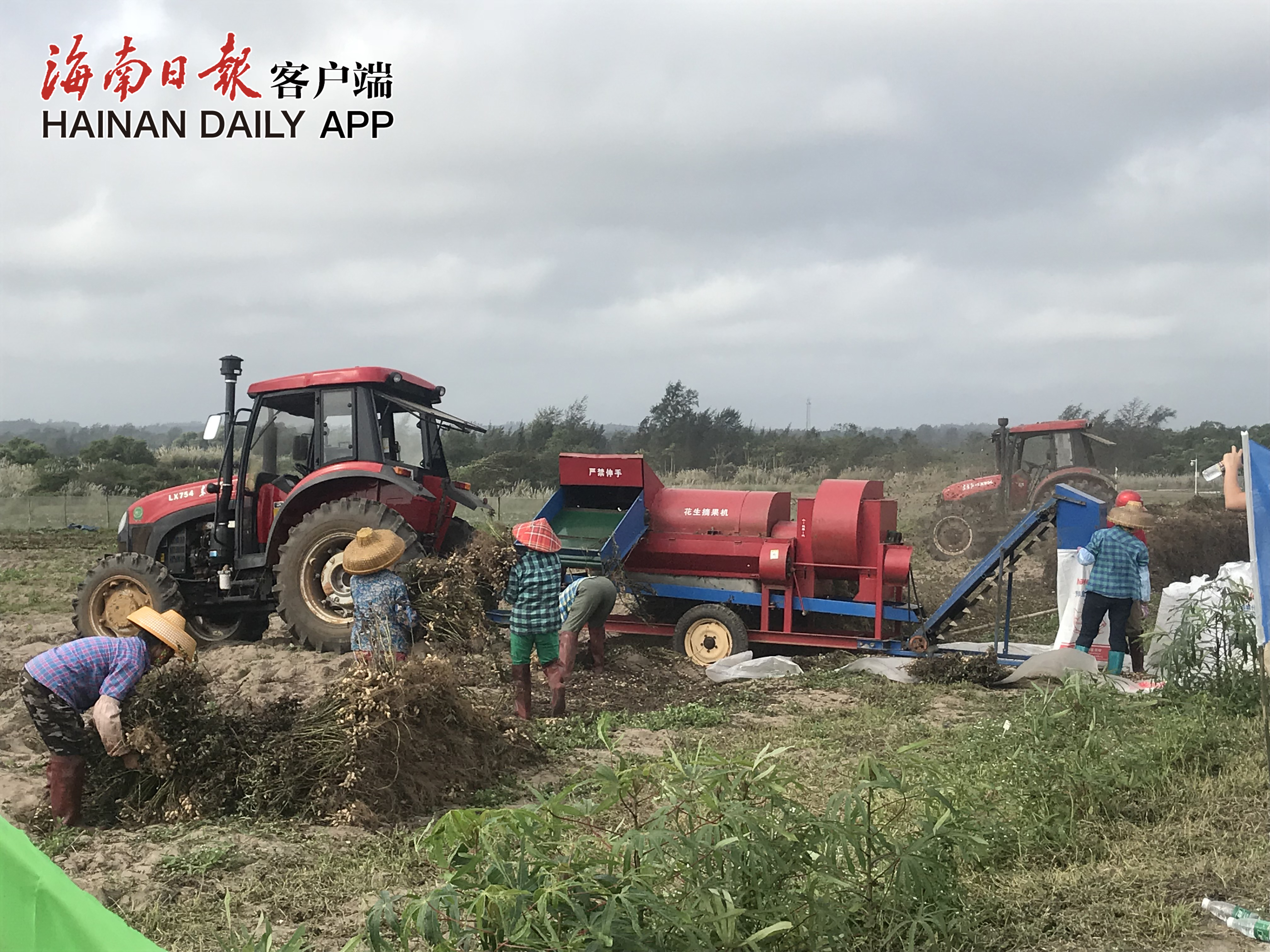 QQ20190110-0副本.jpg
