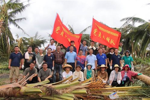 一群人在树林里&#xA;&#xA;中度可信度描述已自动生成